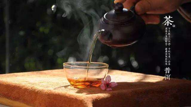 《老徐谈茶》第四十三期：冲泡普洱茶，茶很重要，也许水也很重要