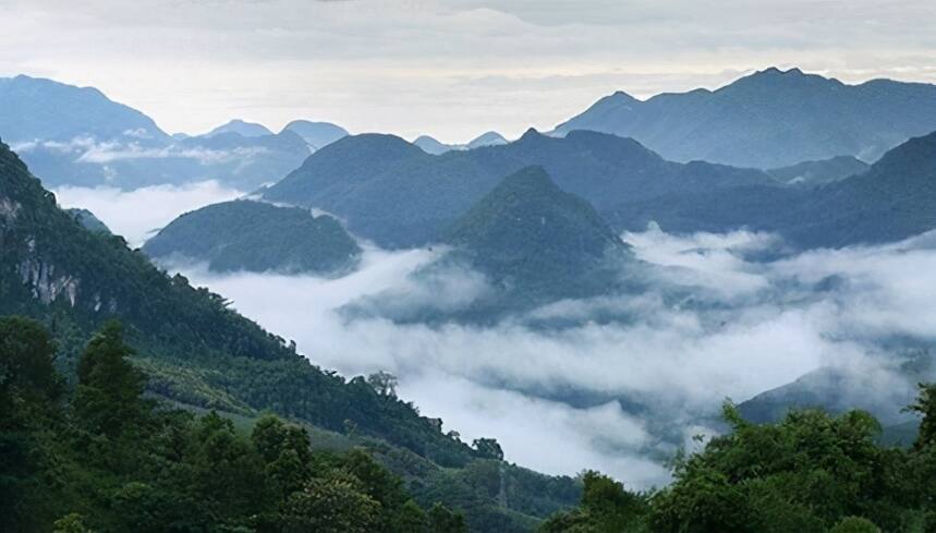 盘点：临沧最著名的6大茶山，你喝过哪几种？普洱茶口感如何？
