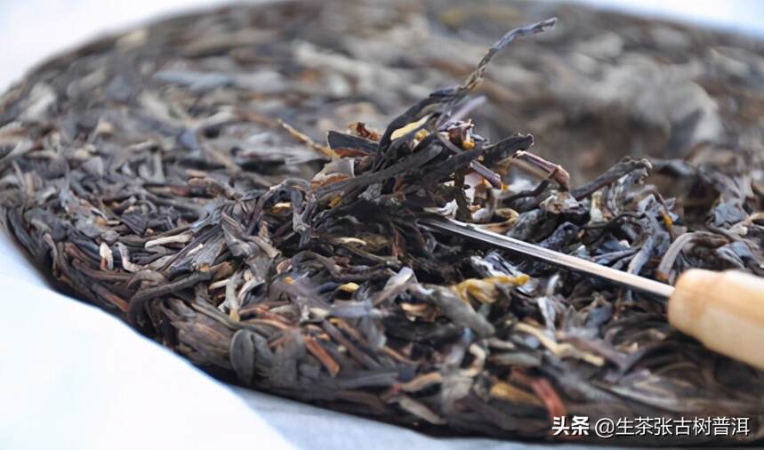 生茶张解析：易武普洱茶山这么多，到底哪个山头最值得入手？