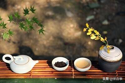 又到了喝春茶季节，一篇文章带你了解何为春茶