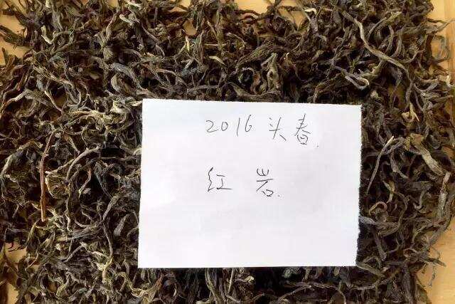 《老徐鉴茶》第九期：临沧小品种古树普洱茶——红岩品鉴报告