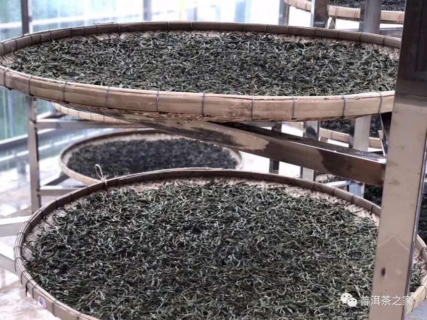2018最火的5大普洱茶山头，没一个喝得起？