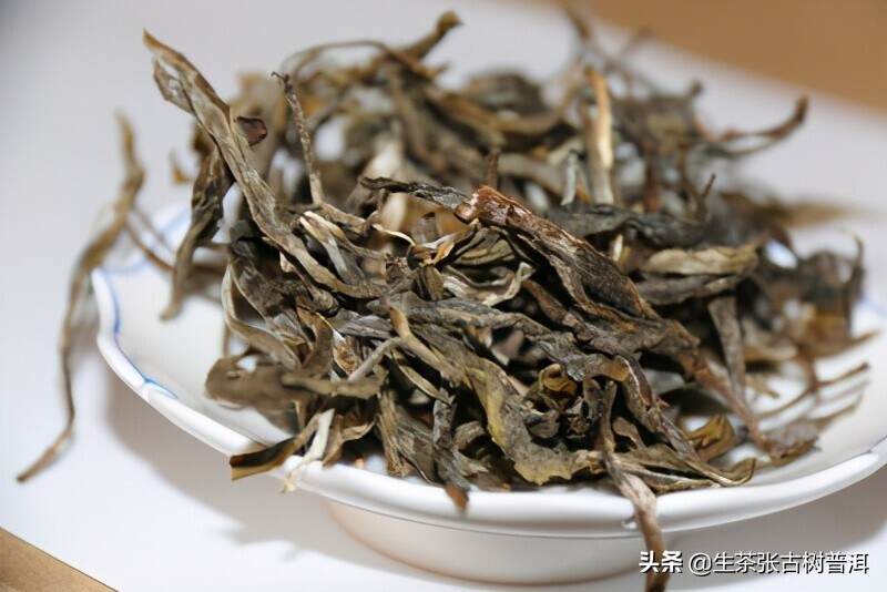 勐宋茶区之滑竹梁子普洱古树茶的特点，滑竹梁子古树分布如何？