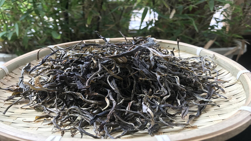 《老徐鉴茶》第150期：2018年倚邦高杆古树春茶品鉴报告