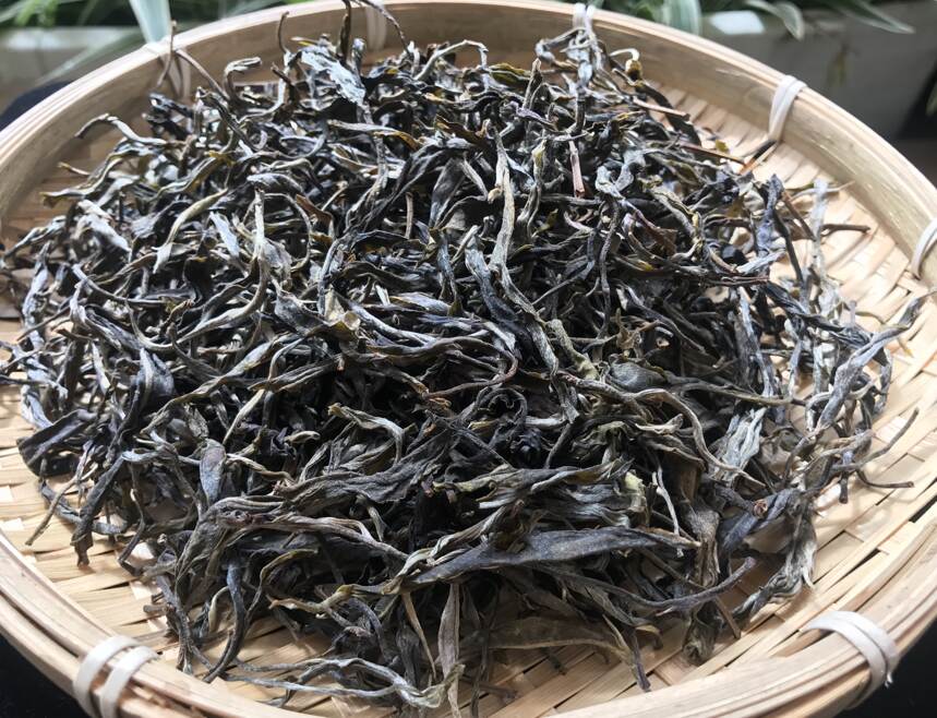 《老徐谈茶》第197期：什么是秋茶？它和雨水茶有何不同之处？