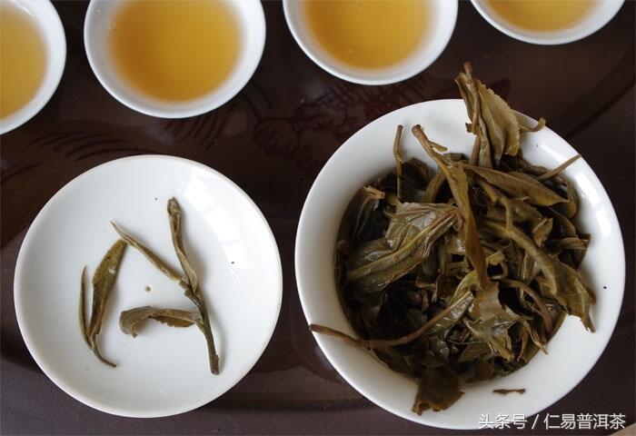 仁易说茶，简单介绍影响身体的茶指标与喝普洱茶的方法