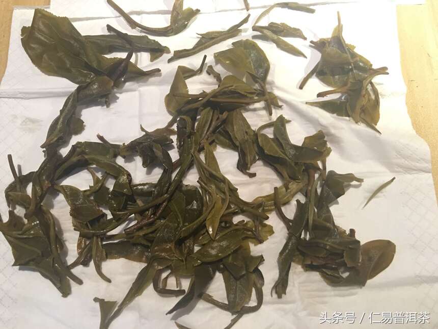 仁易说茶：2017古树茶普遍涨价，茶品质怎样？