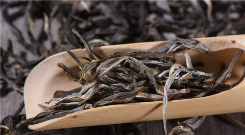老班章为何能够成为“茶王”？有哪些不同于其他古树茶的特点？