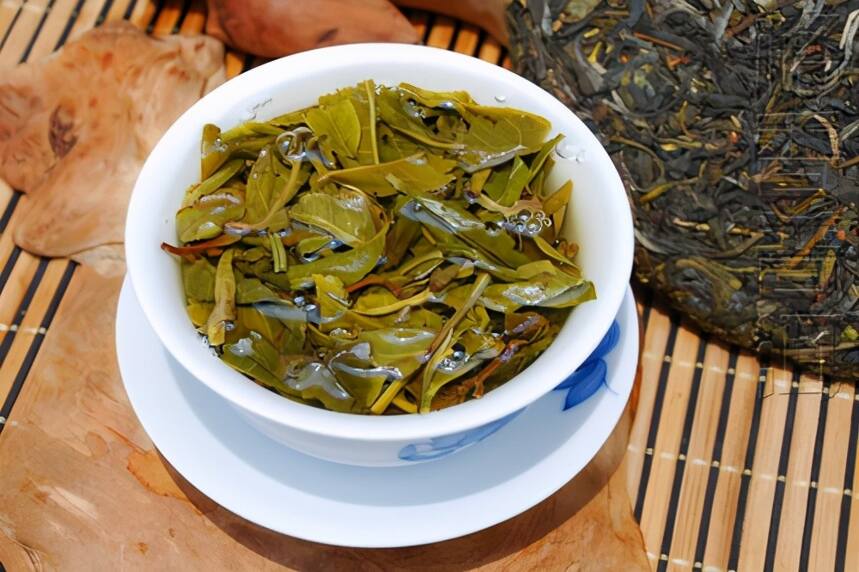 茶迷们心中的圣山——景迈山，普洱茶原生地，古树茶口感如何？