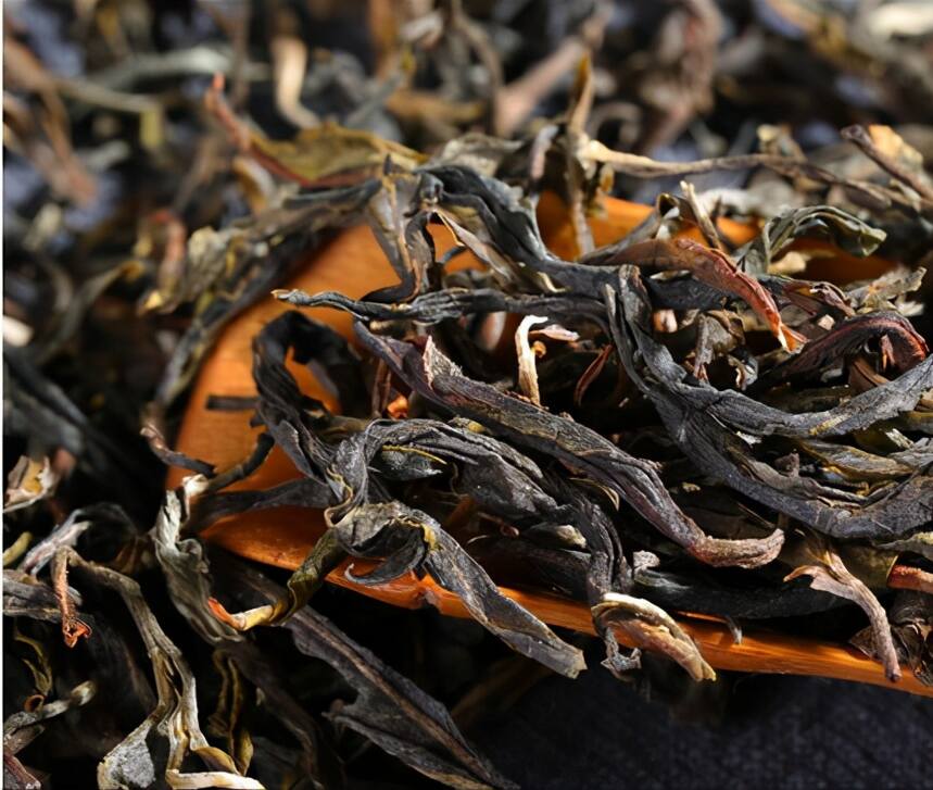 带你全面了解古树单株茶！什么是古树单株普洱茶？为啥这么火爆？