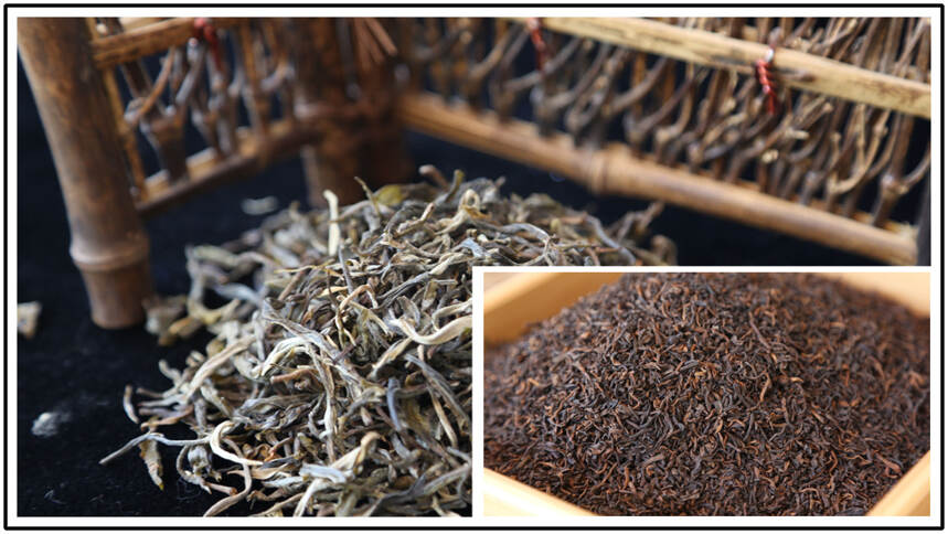 《老徐谈茶》74期：云南不止产普洱，N多绿茶也滋味无穷—图文