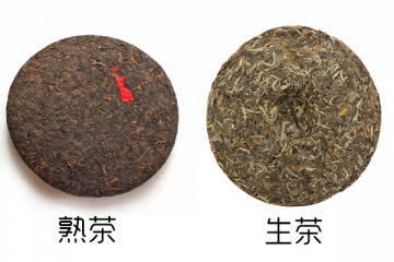 「干货分享」详解云南普洱生茶与熟茶的不同，如：加工工艺、品质