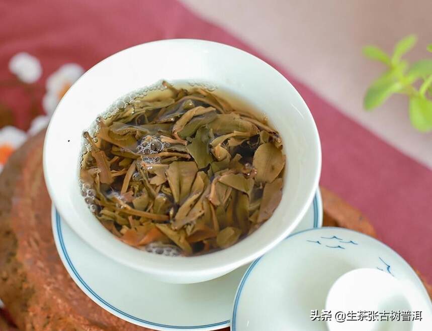 龙珠普洱茶怎么泡才好喝？