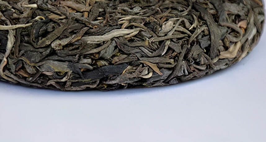 古树茶的六个显著的特点