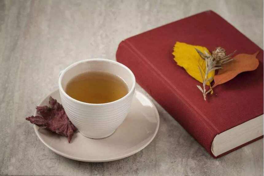 以茶修习“刹那正念”，过茶美生活与智慧人生