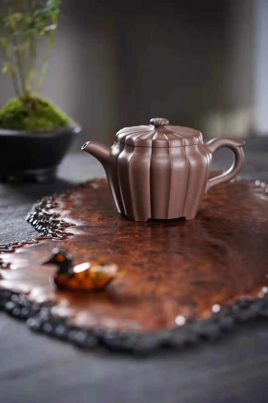 普洱茶的“清淡温饮”法