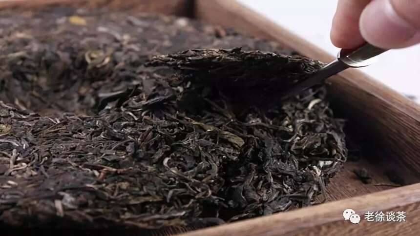 《老徐谈茶》第110期：“老茶”是怎样制作出来的？——图文