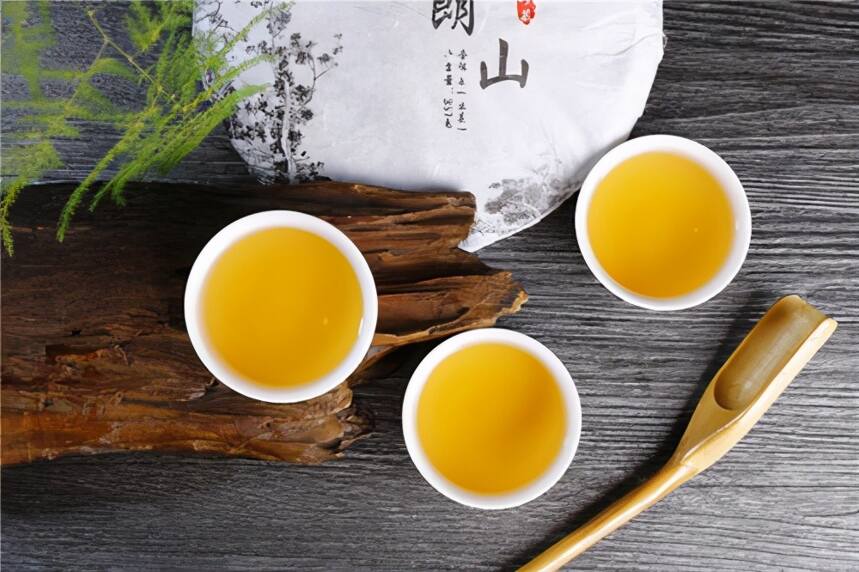 生茶张：是不是所有的普洱茶海拔越高，品质越好？