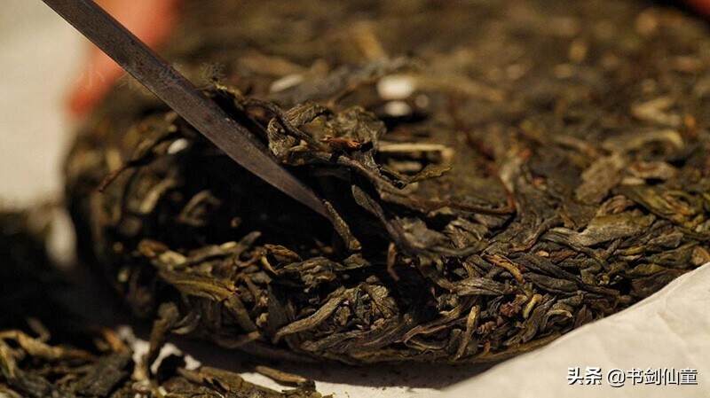 解密为什么普洱新茶会出现比老茶贵价格倒挂之谜？