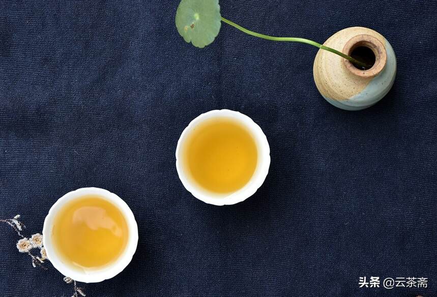 如果喝不懂古树茶的这四个维度，那你永远都是新手
