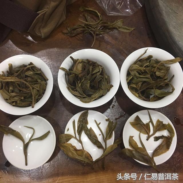 仁易说茶：普洱茶商业是一个生态系统，不对健康负责的不是好茶商