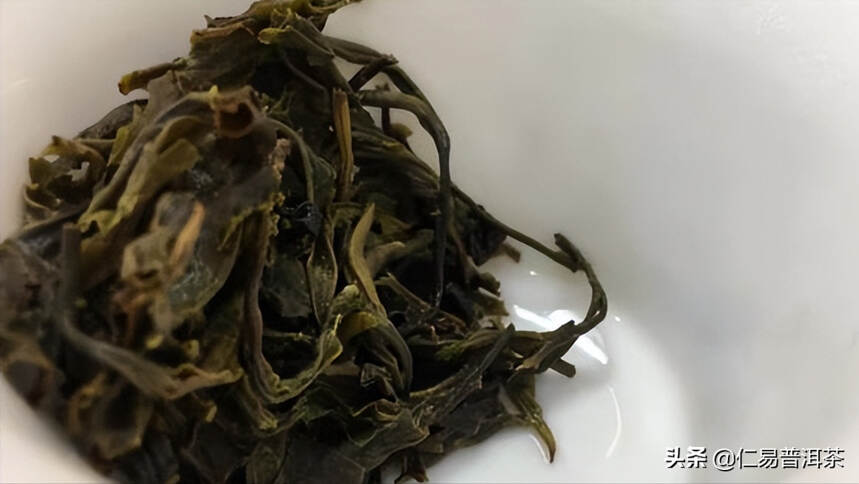 新手学茶入门：普洱茶的本质是什么？