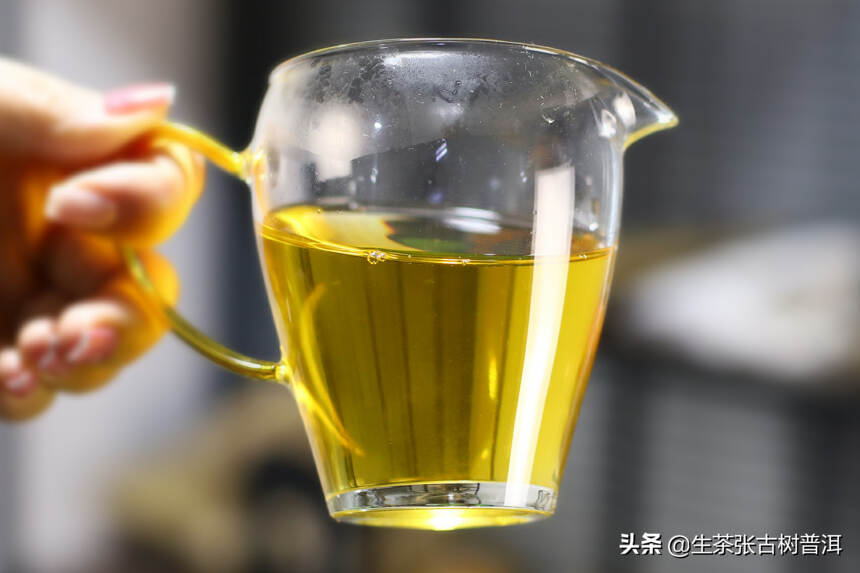 普洱茶不同茶山，口味各不相同，这5大茶山，你知道几个？