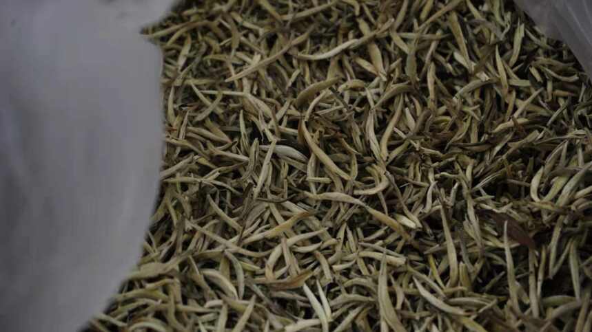 云南40万吨普洱茶躺在仓库！古树茶，无法面对残酷的现实
