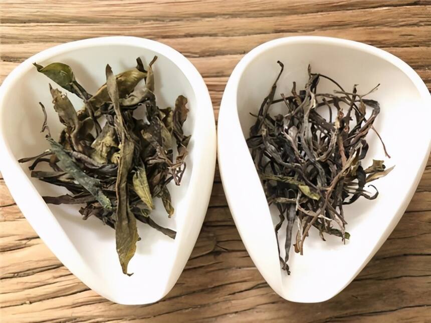 云南普洱24寨茶，寨寨有特点（中）