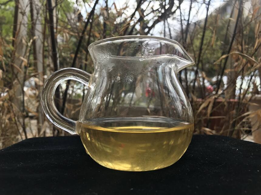 老徐鉴茶217：2018年冰岛老寨400年古树茶品鉴报告（上海茶友寄）
