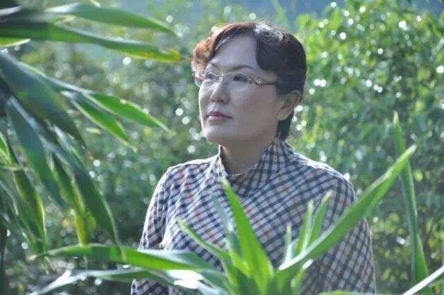 濮女赵华琼和她四十年的制茶岁月