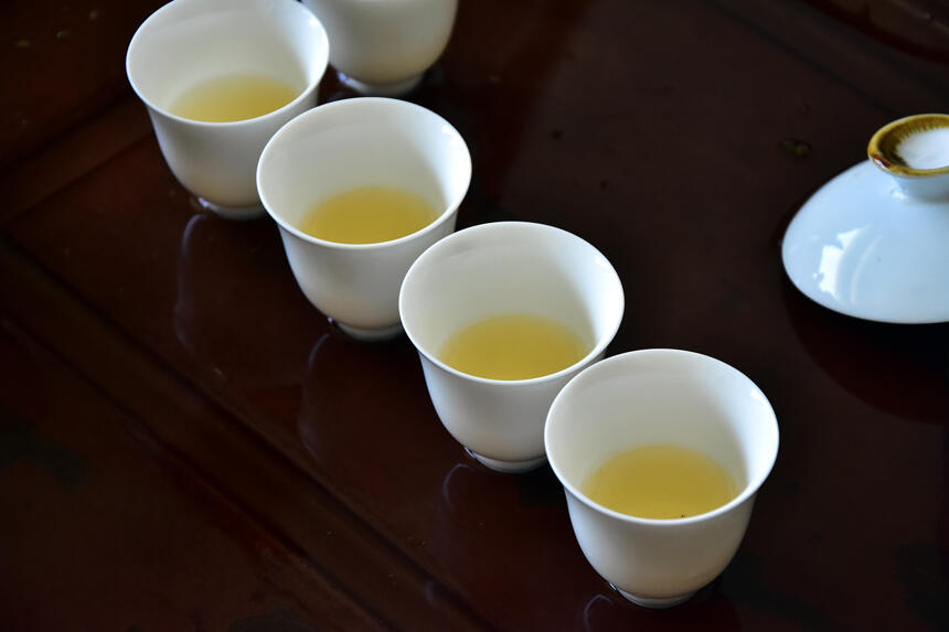 多年山头茶经验总结！不同产区喝山头，喝树龄的诀窍在哪里？