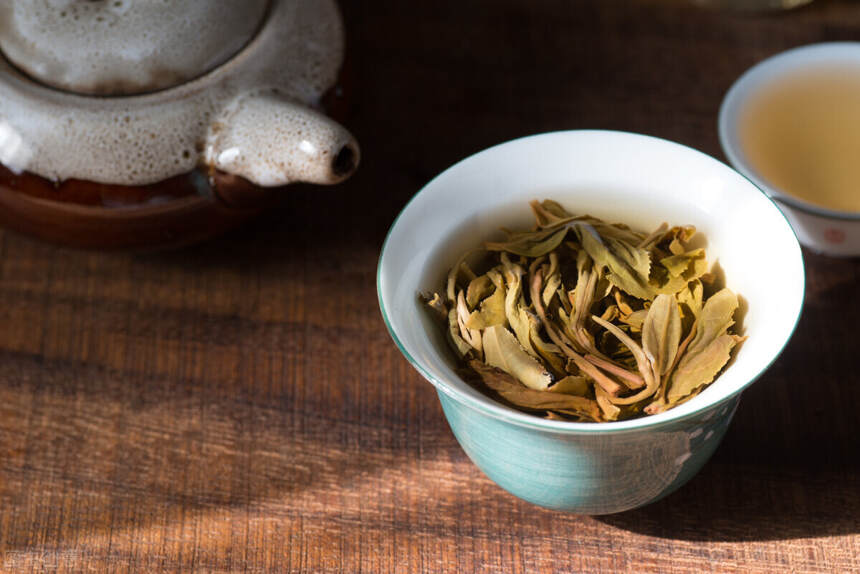 普洱藏茶，产区怎么选？