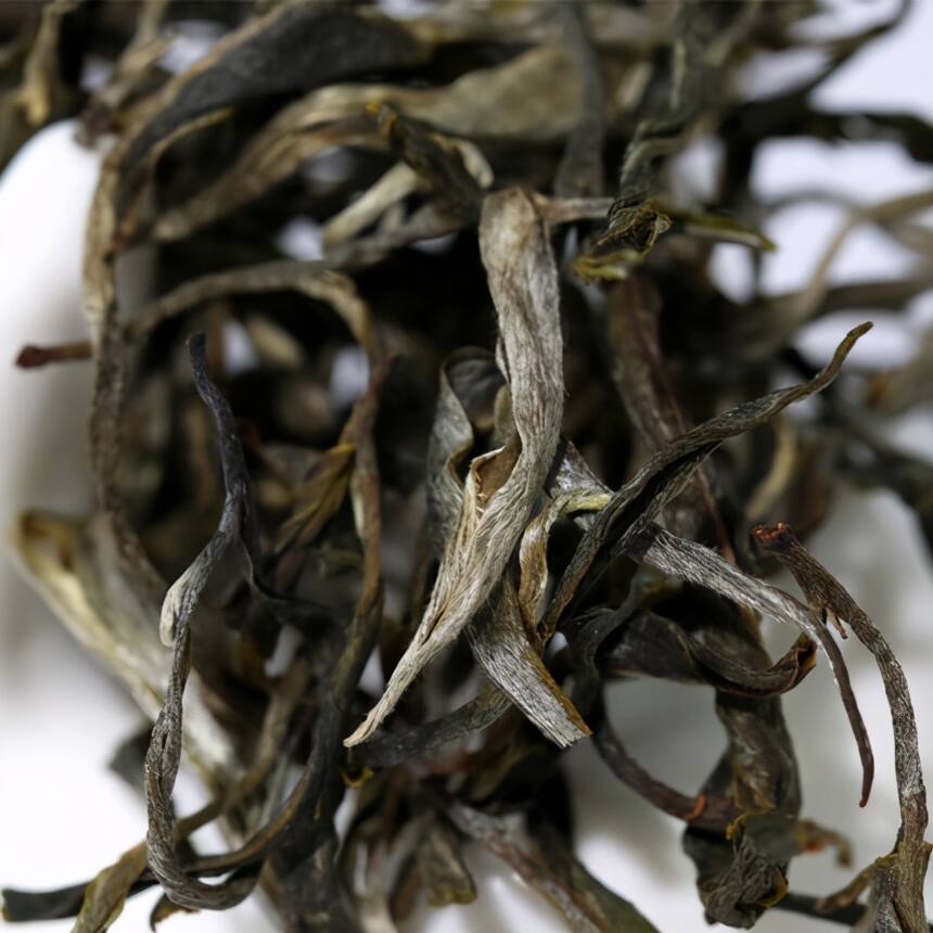 普洱茶界最贵的山头之一，地界老寨古茶怎么样？有何优势值得购买