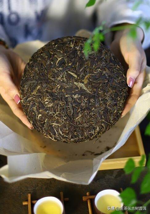 普洱茶界的“勐海味”，究竟是什么味？