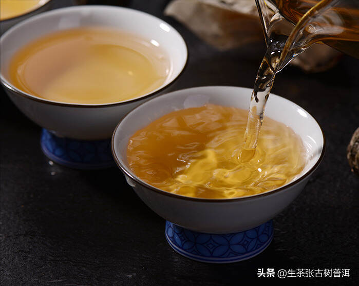 解说普洱古树茶为什么越喝越甜？