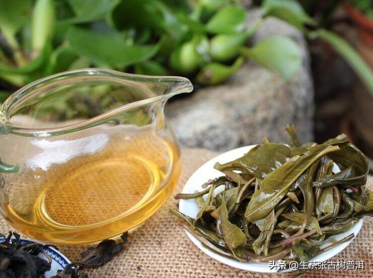 普洱茶山头｜|聊一下云南最古老的3座茶山，所产普洱茶好喝吗？
