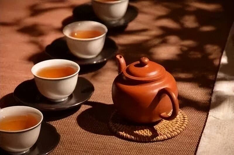 老徐谈茶277：普洱茶产区气候异常，销量下降！上茶山能否捡到漏