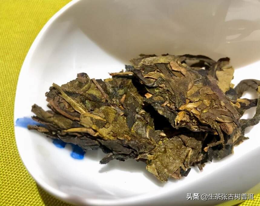 普洱茶中的老黄叶，值不值得喝？为何被称为“黄金叶”？