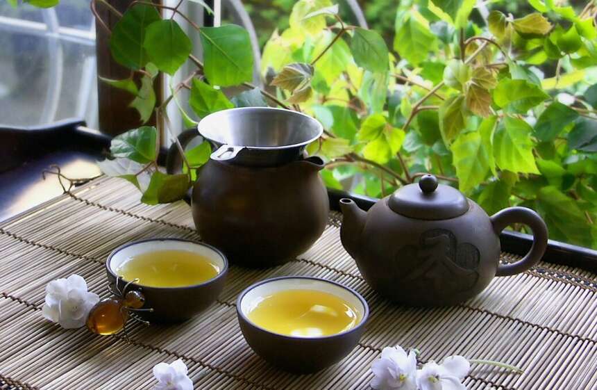 茶寿——茶，何以延年益寿？