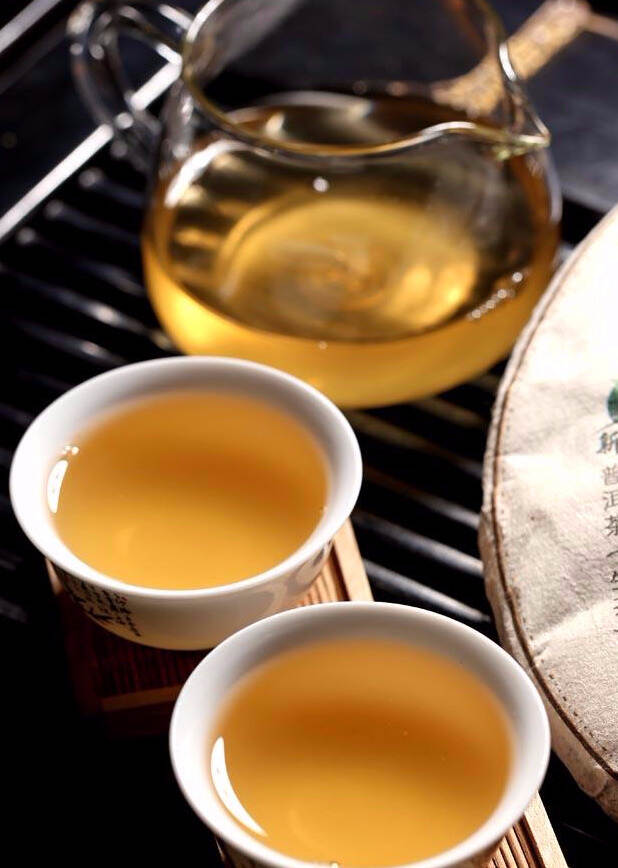 购买古树普洱茶，为什么你买不到好的？因为这3点必须懂得
