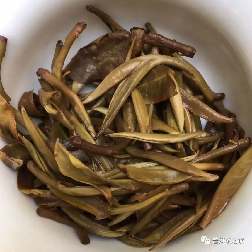 鲜为人知的曼松古树瓦雀嘴，才是真正的曼松皇家贡茶