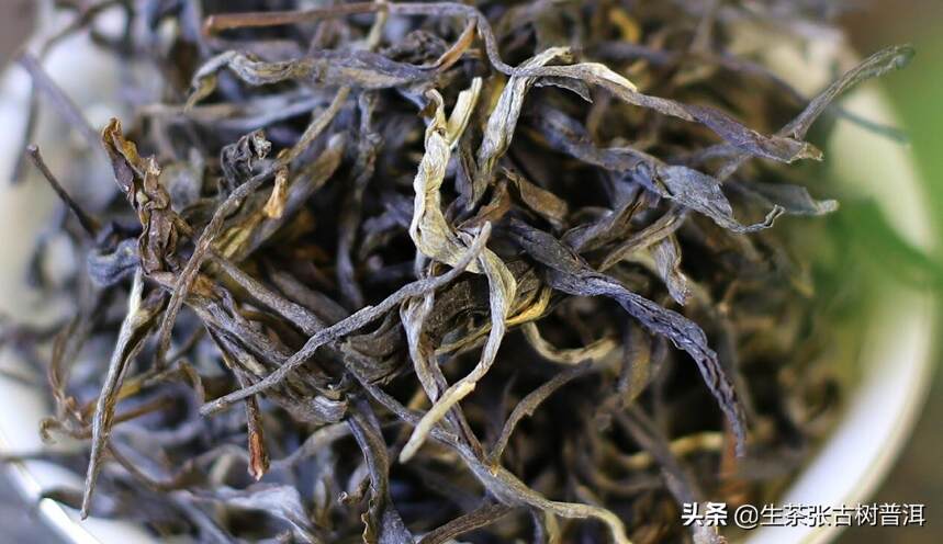 详述：关于普洱茶的9大热点问题，一文搞懂普洱茶
