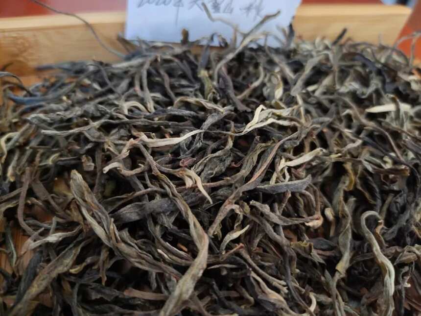 大雪山！万亩古茶园中，有普洱茶最纯正的风味