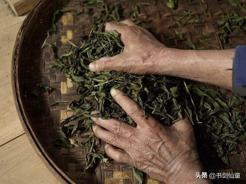不产茶的丽江却成为云南卖茶的卡片！普洱茶四大产区又有几人知道
