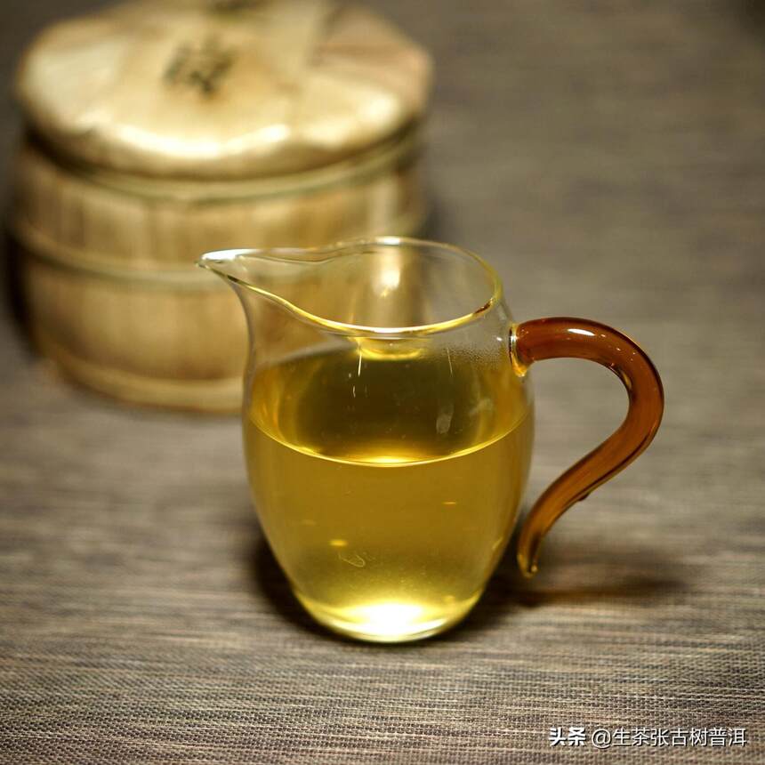 保护古茶树的意义何在？古树普洱茶有何特点？为何茶客都喜欢喝？