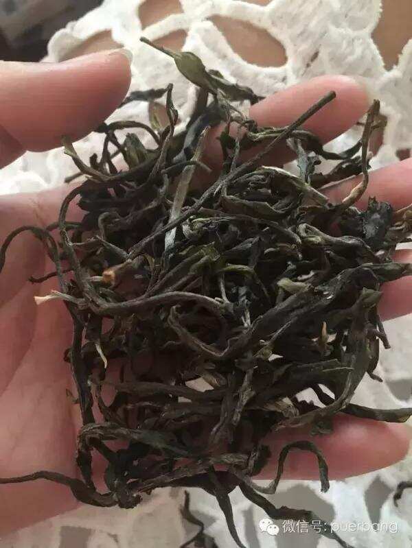 2016最新普洱茶古树春茶价格表