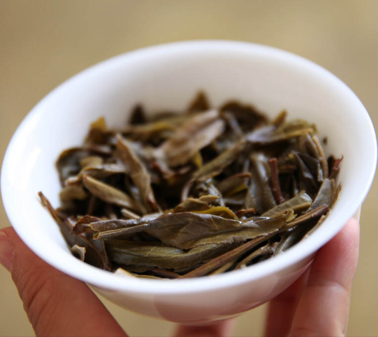 为什么说忙肺茶是临沧“下一个老班章”？它存放几年最好喝？