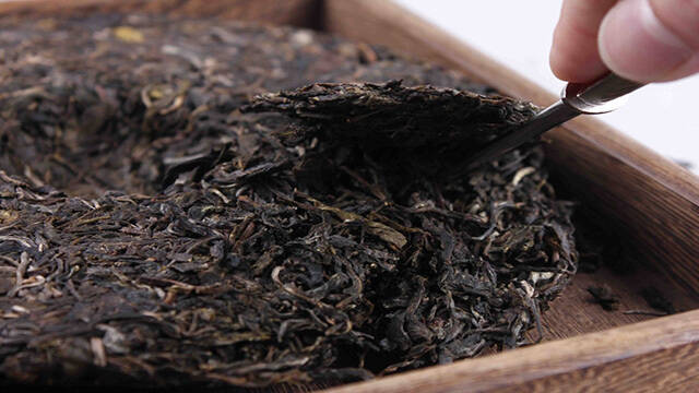 《茶友聊茶》第4期：对待普洱茶少些先入为主