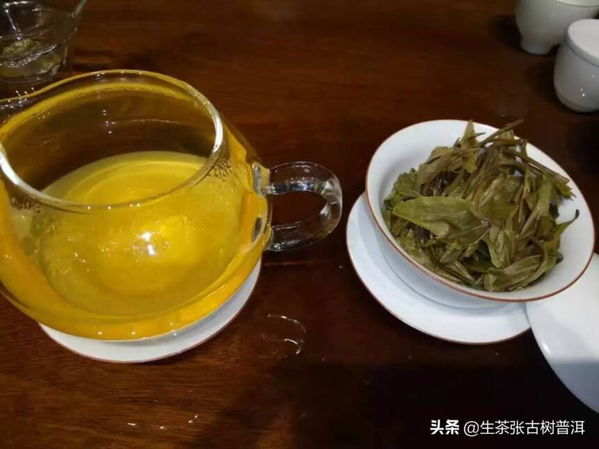 如何判断古树茶？耐泡的普洱茶一定就是古树茶吗？